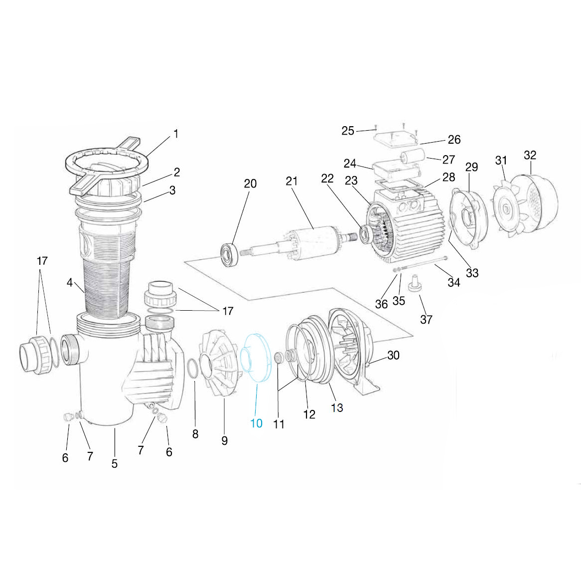 Impeller for series W300 Ocean® filter pump O300 Impeller for series W300 Ocean® filter pump O300