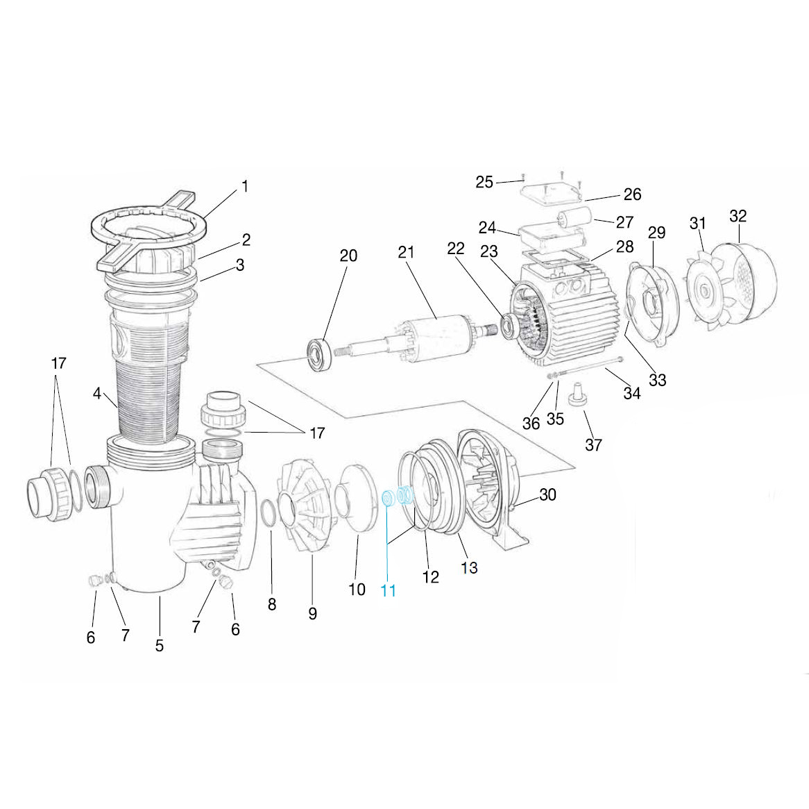 Mechanical seal for all Ocean® filter pumps Mechanical seal for all Ocean® filter pumps