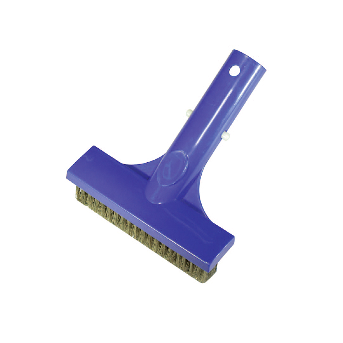 Smart Algae brush short with steelbrushes, PP blue 13 cm single packed Smart Algae brush short with steelbrushes, PP blue 13 cm single packed