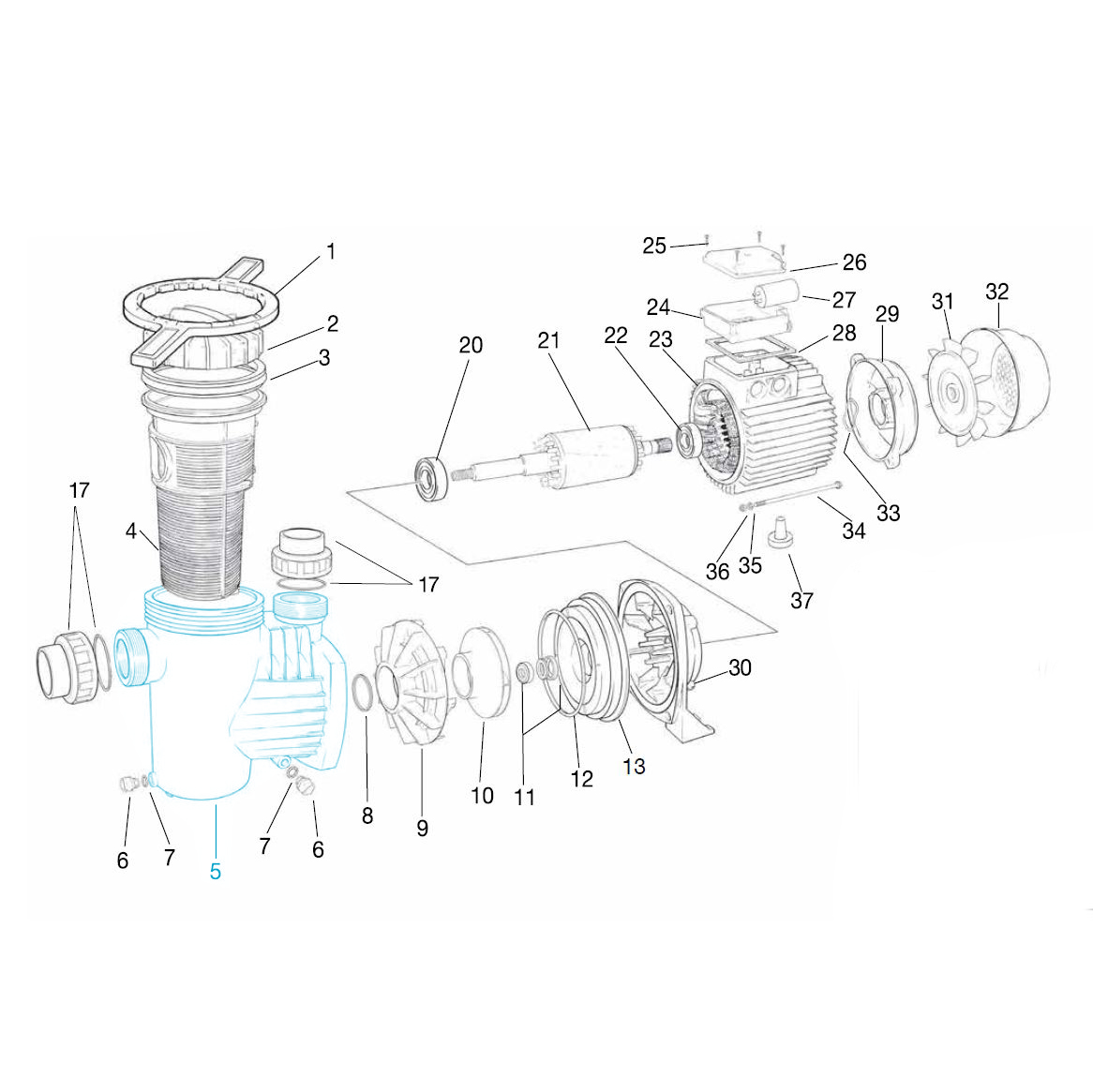Pumpenkörper für Smart Pumpe Serie W Pumpenkörper für Smart Pumpe Serie W