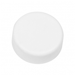 Plug for back wash valve 